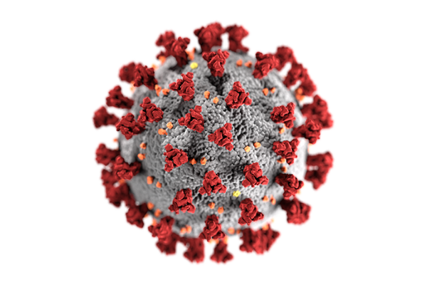 Grafische Darstellung Corona-Virus Sars-CoV2